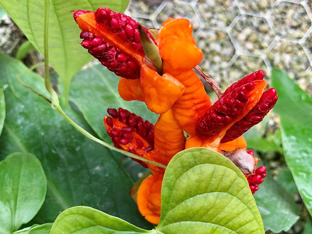 L'équinoxe de printemps